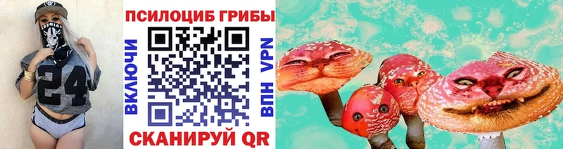 Купить  Заозёрск  Псилоцибиновые грибы мухоморы 